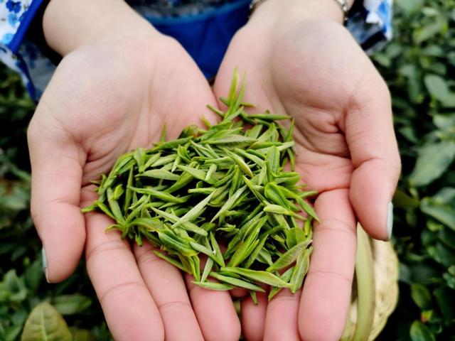 大量日本游客涌入北京，打着旅游幌子不去旅游不吃美食，为啥来？