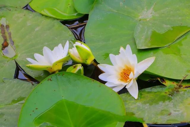 水天一色 博斯腾湖