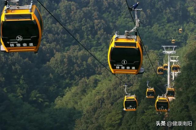 免免免！河南这些景区推出限时特惠活动→