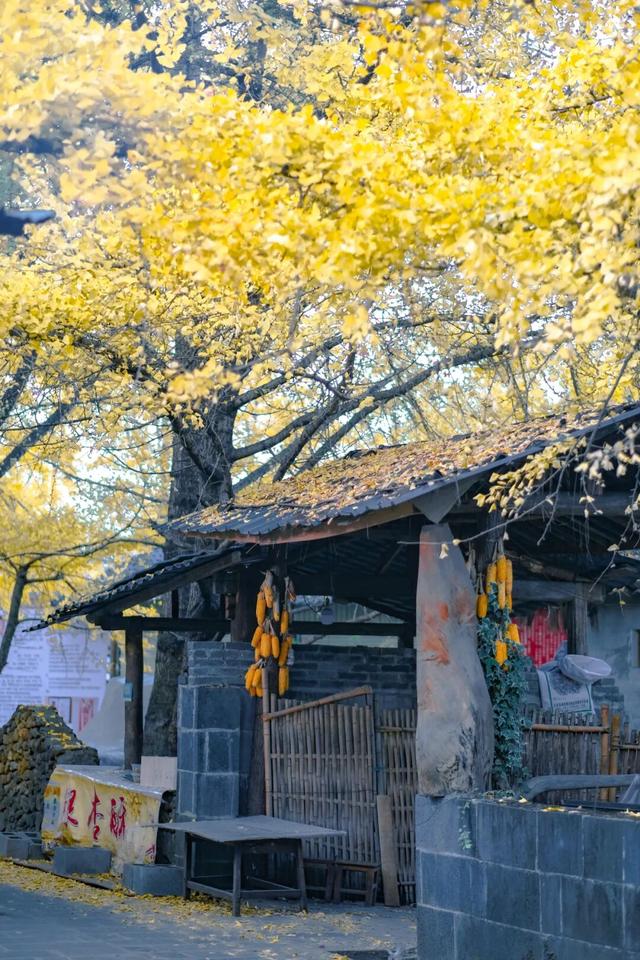 12月旅行推荐！12个最佳目的地，避开人潮，对的时间就去对的地点