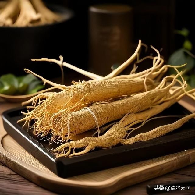 东北这座小城，名气不大却是世遗古都，风景大气壮观，几乎0差评