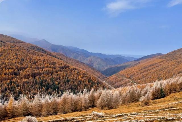 【文明旅游】山西：五台山的秋天，太治愈了！