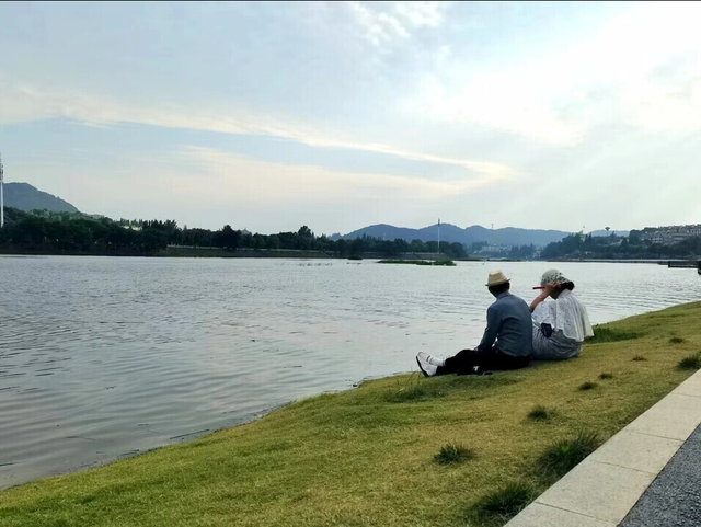 一碗馄饨牵出黄昏恋！《菜肉馄饨》的圆满结局，骗了多少观众？