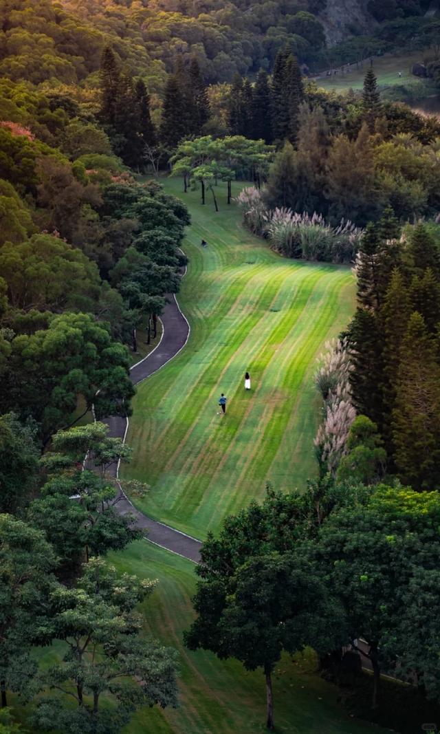 厦门的冬天给北方朋友一点小小震撼~
