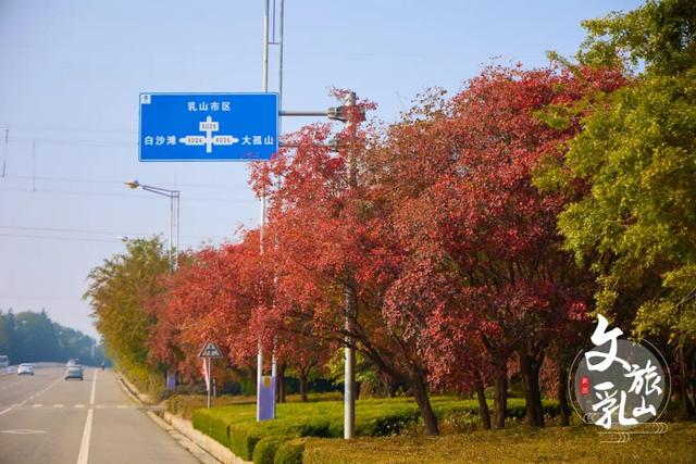 当秋风吻过乳山：一场关于色彩与治愈的漫步指南