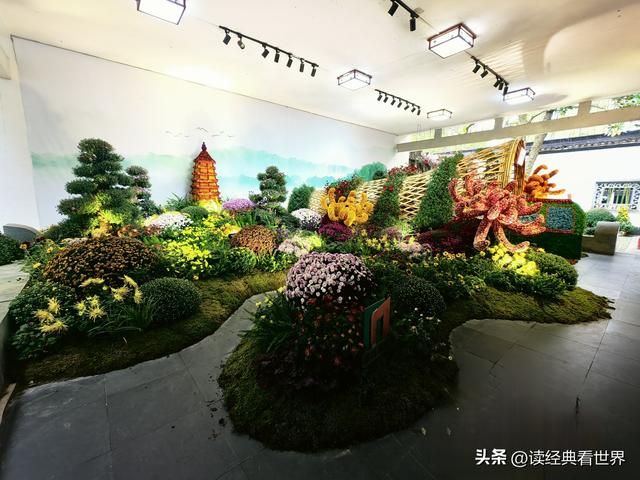 杭州植物园的菊花展——一场关于菊花的饕餮盛宴（一）