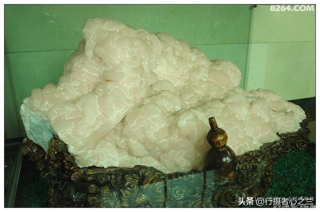 山东行游影记（36）—平邑天宇自然博物馆（十一）
