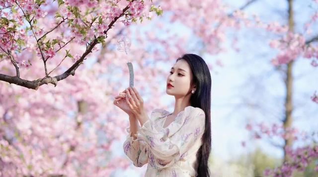 鼋头渚如何丝滑入园赏樱？攻略来了！