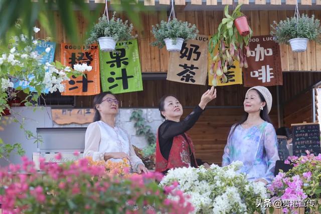 美呆了!贵港这里藏着一处赏花胜地,出片率100%