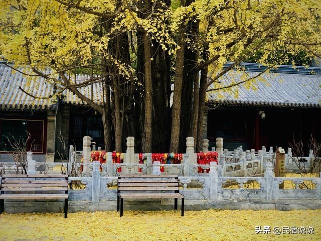 北京叶正红，不止香山，还有这几个。