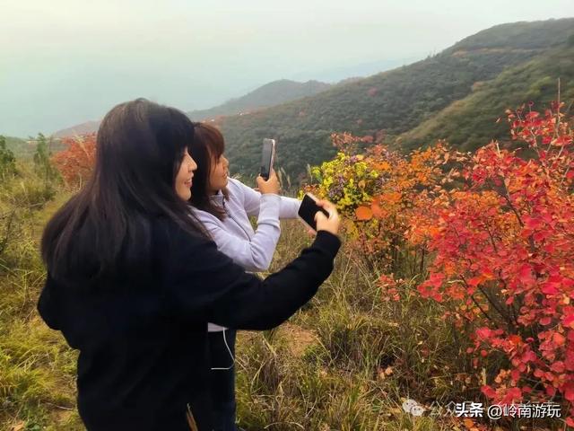 富平薛镇赵老峪北村，赏红叶观石桥瀑布，这条环线真是美爆了！