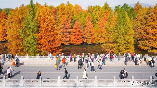 猜猜这是南京的哪里？简直美爆了！