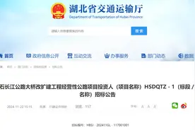 双向六车道！黄石这座大桥将改扩建图片