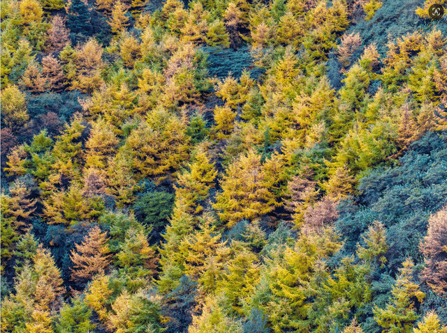 免门票丨毕棚沟献给全国师生们的秋日礼物！
