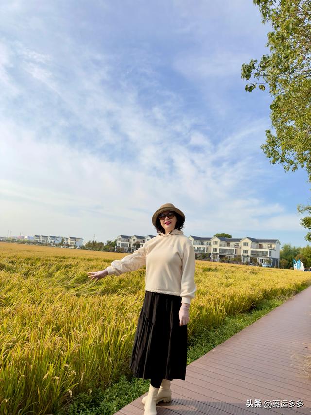 上海的乡村美得我头晕目眩