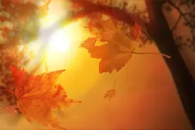 第一次有人把判断涨停板强弱的方法，讲得如此透彻，爱打板者必看图片