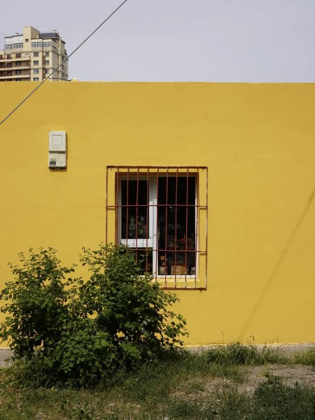 乌鲁木齐的劳动街，是由小炒、烧烤和夏夜晚风组成的