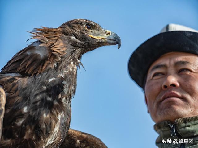 南疆寻秋--富士GFX100 II刻画南疆的雪山、沙漠与胡杨