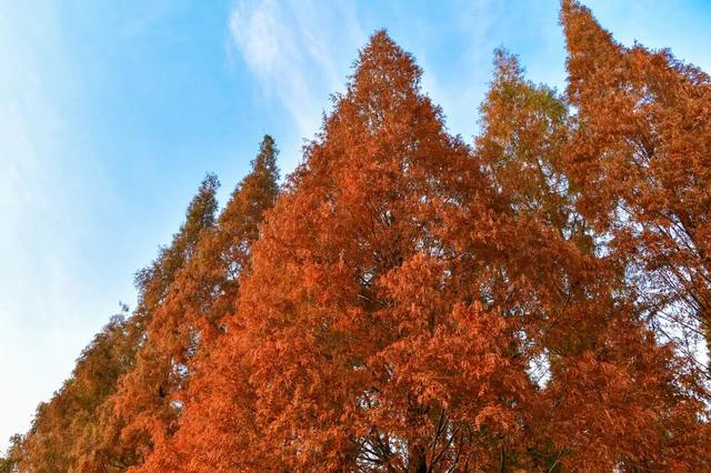 青睐绵阳 || 这里，绝美，超出片！