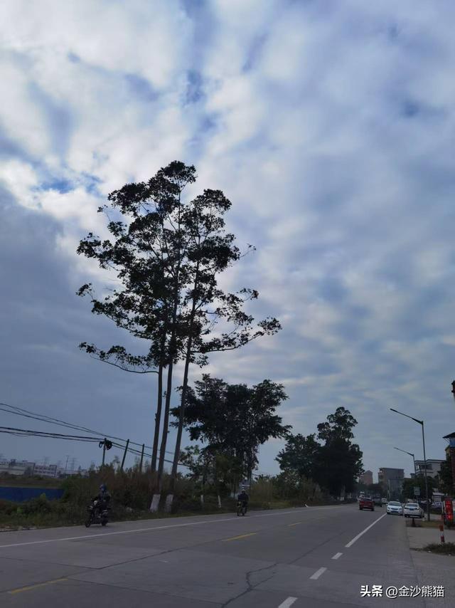 海陵岛上山水写实画一路相伴，双龙连续三年千里骑行22