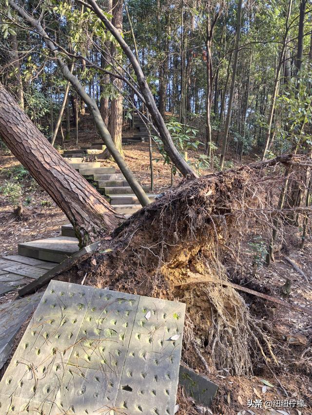户外徒步之挑战缙云九峰，从健身梯道到狮子峰，走了四小时