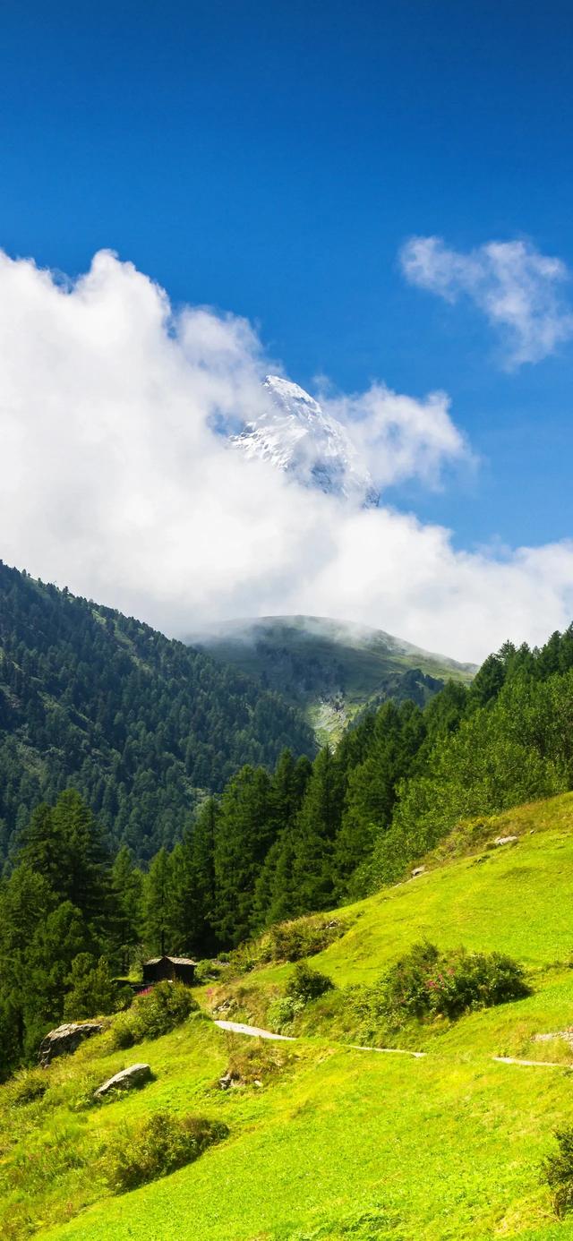 手机壁纸|山水风光美景，绿意盎然