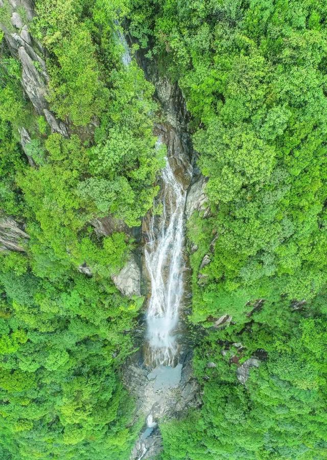 浙江人私藏的 “天然冰箱”!解锁这些小众溯溪地→