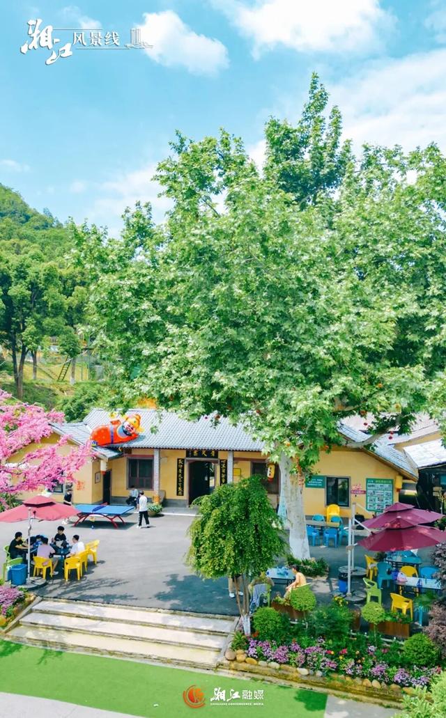 挖到长沙7个“野生宝藏地”！娃疯玩，我躺平！