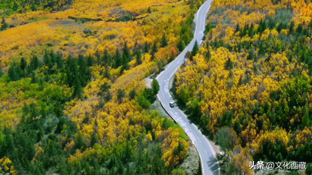 低调到让人心疼！西藏昌都藏着世界级风景，让人惊叹！