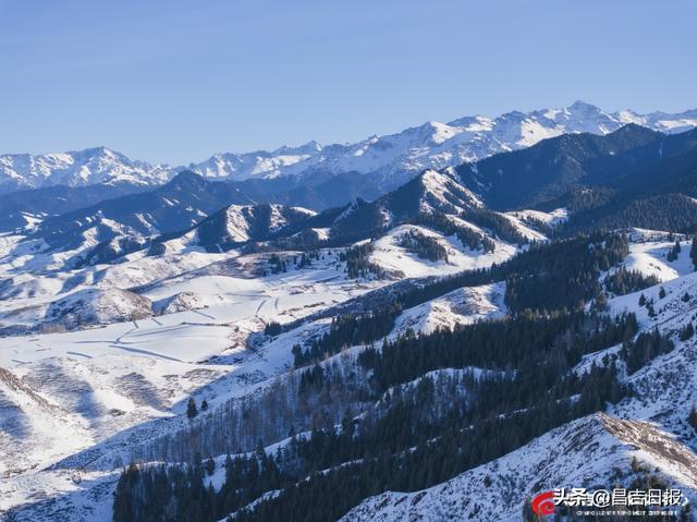 吉木萨尔渭户沟：雪落山林披银装 冬日画卷藏诗意