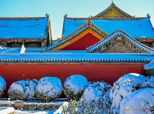 大东北组局了！冬日天团，出道！