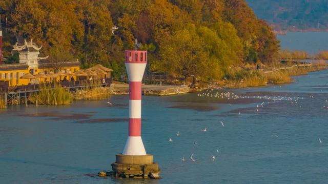 苏州年度限定奇观来了