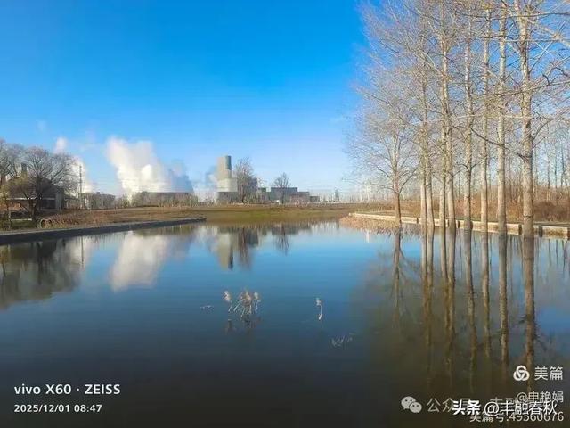 初冬北京朝阳坝河金盏淀:清寒里的静美画卷|申艳娟