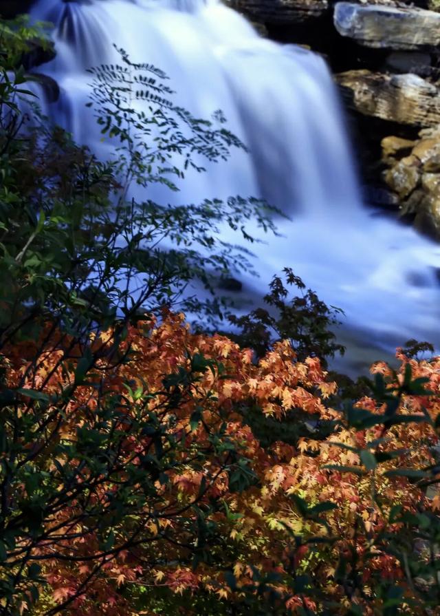 藏在武都的深秋秘境！