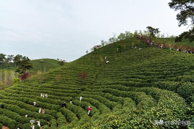 大别山革命老区河南信阳：“北国江南”鄂豫皖枢纽的绿色崛起之路