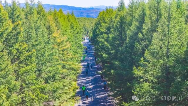 2025哈达门高山草原徒步行活动在武川县举办，1500 余人纵马北疆踏歌而行