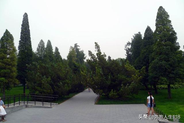古木参天、绿草如茵，天坛景色秀