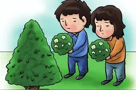 移风易俗 | 深化殡葬领域移风易俗，让“归去”更文明图片