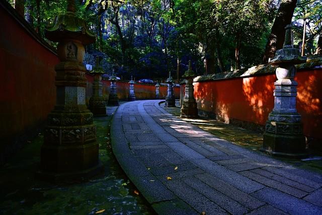 福建深秋封神路线！红叶燃山、银杏铺金，古寺藏着最暖秋韵！