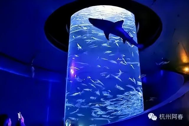 香港海洋公园
