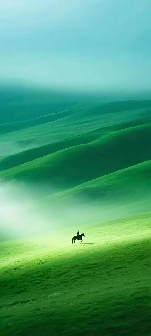 缁胯壊鎶ょ溂澹佺焊缇庡浘