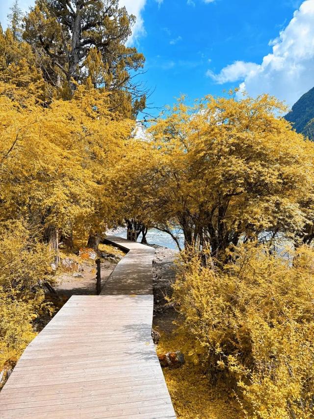 秋天的四姑娘山，我要给你五颗星！