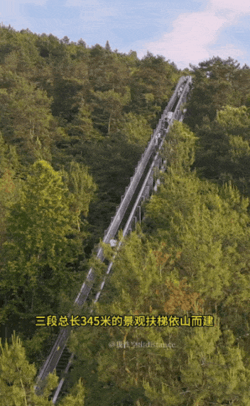 在窝囊和玩儿之间，这届年轻人选择窝囊地玩儿！