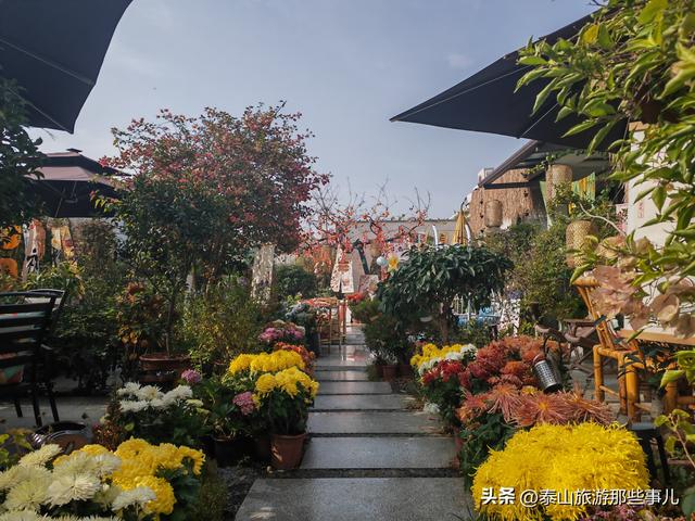 泰安：城东山腰间藏了个神仙小院，步步是景，处处藏趣