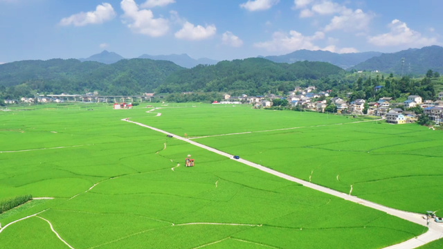 出游 │ 夏日邀您去海龙“虚度光阴”