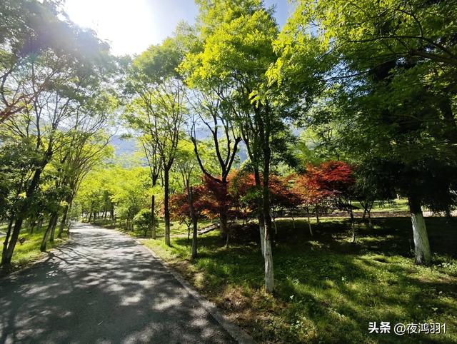 理小路环线今日风景！