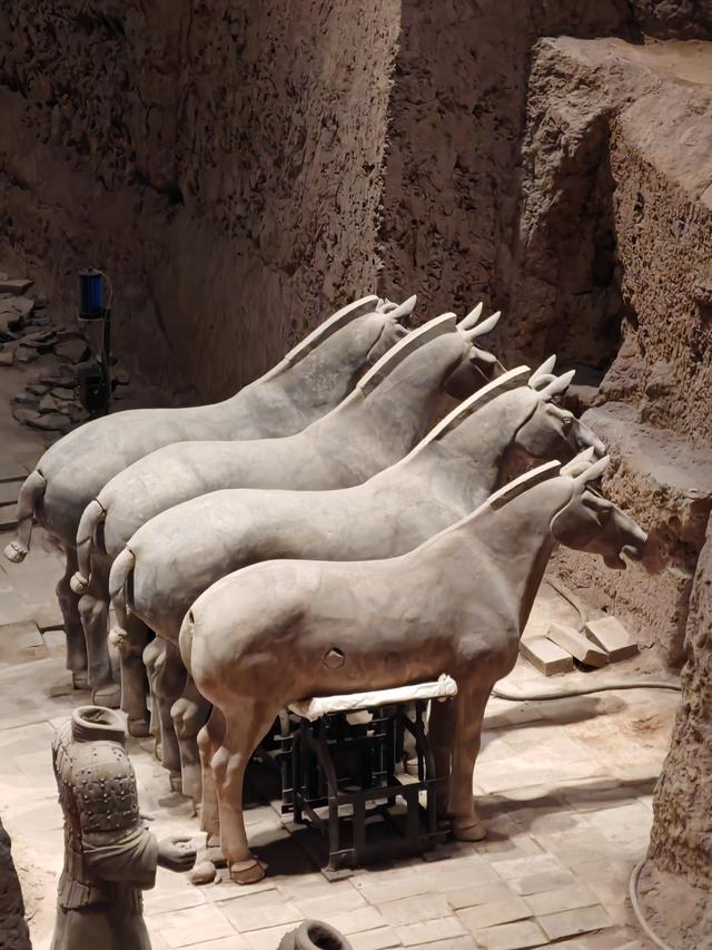 秦始皇兵马俑观后感悟