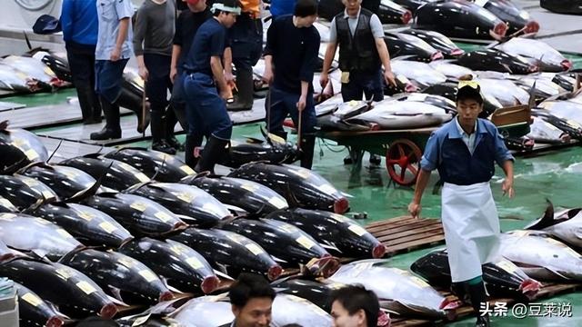 果然没出乎中国意料！刚通告全球对日全面制裁，日本的反击就来了