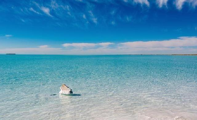 盐城没想到，淮安也没想到，如今的中国东台，已成为全国焦点