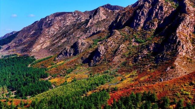 走进赤峰马鞍山林场 邂逅绚烂山林秋色